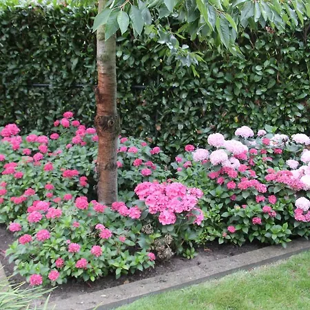 Сasa de vacaciones Met De Deur In Huis Helmond