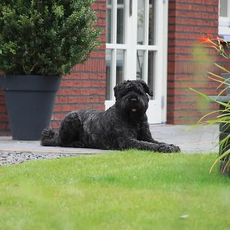 Met De Deur In Huis Helmond